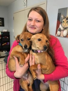 volunteer and 2 puppies